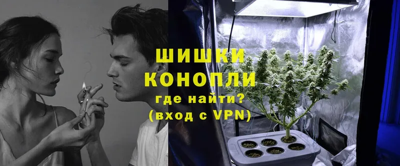 Каннабис планчик  купить закладку  kraken ссылки  Ермолино 